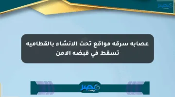 عصابة سرقة مواقع تحت الإنشاء بالقطامية تسقط في قبضة الأمن